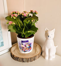 Заредете изображение във визуализатора на галерията – Комплект с продукти по ваш избор подарък за учител - Бухалчета в лилаво