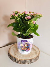 Заредете изображение във визуализатора на галерията – Персонализира саксия подарък за учител - Бухалчета в лилаво