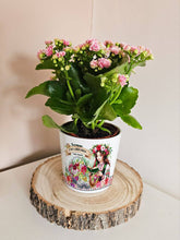 Заредете изображение във визуализатора на галерията – Персонализира саксия подарък за учител - Български традиционни мотиви