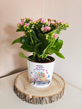 Заредете изображение във визуализатора на галерията – Персонализира саксия подарък за учител - Книги с цветя